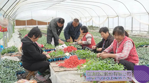 1682303308861850.jpg 10c.jpg