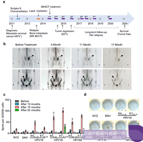 1710815289658234.jpg 2c.jpg